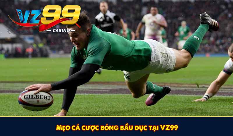 Cá Cược Bóng Bầu Dục - Giải Trí Thưởng Hấp Dẫn Tại VZ99 8 Mẹo cá cược bóng bầu dục tại VZ99