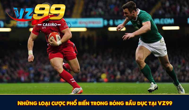 Cá Cược Bóng Bầu Dục - Giải Trí Thưởng Hấp Dẫn Tại VZ99 9 Những loại cược phổ biến trong bóng bầu dục tại VZ99